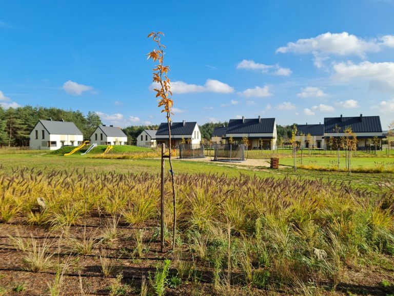 Malownicza jura krakowsko częstochowska domki do wynajęcia