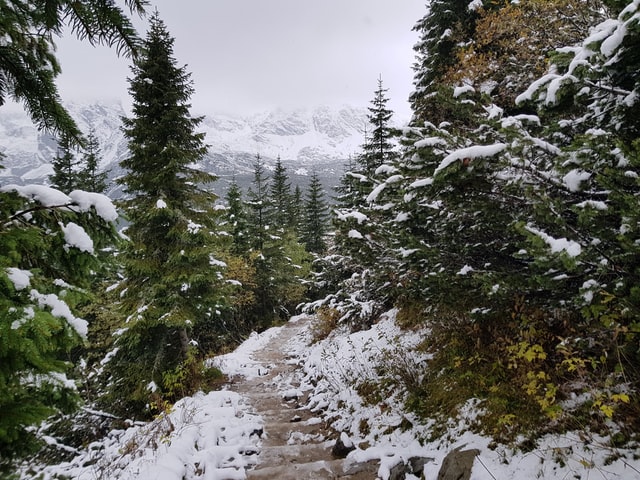 Zakopane, to miasto którego nie trzeba specjalnie przedstawiać