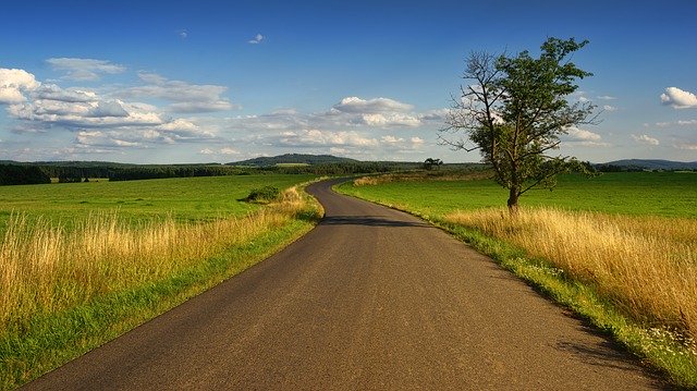 Jaki jest waszym zdaniem najlepszy herbicyd dla kukurydzy?