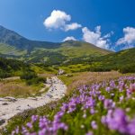 Stayintatra – komfortowe noclegi w sercu polskich tatr