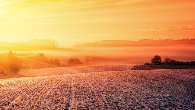 Dlaczego wycofanie flufenacetu może być szansą dla nowoczesnego rolnictwa